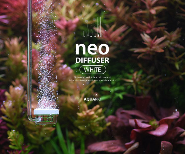 neo no co2 Soil